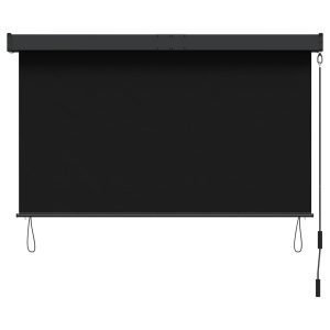Roleta zewnętrzna vidaXL z korbą — Czarny, 60 × 250 cm, zdjęcie 3
